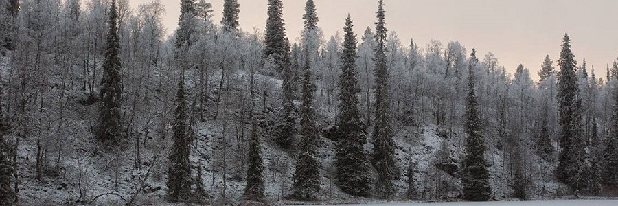 Изображение для слайдера 2