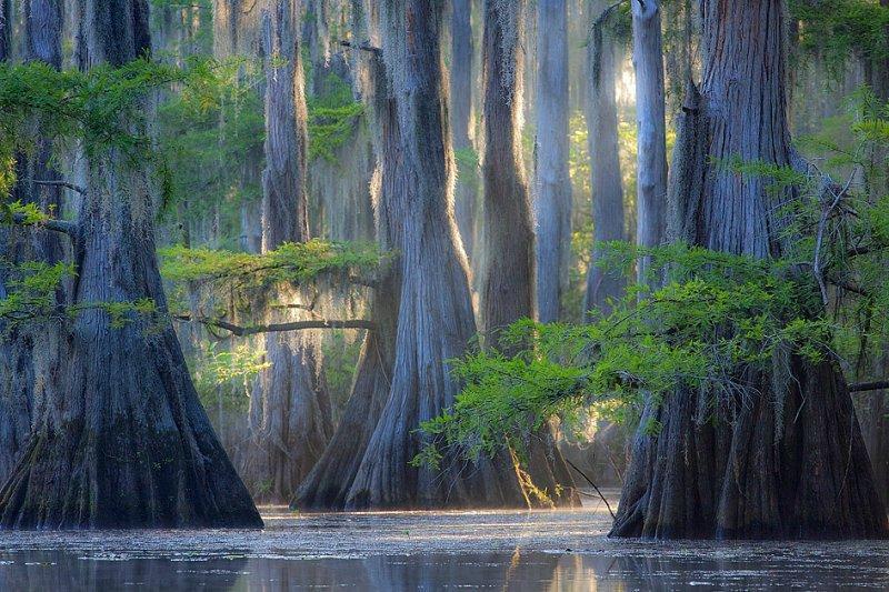 Caddo02 Caddo02