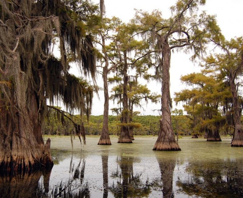 Caddo04 Caddo04 800x653