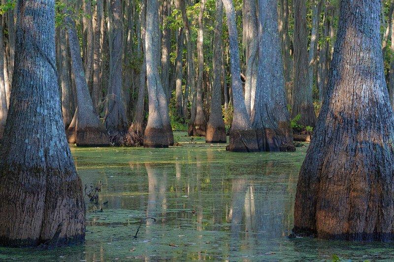 Caddo06 Caddo06