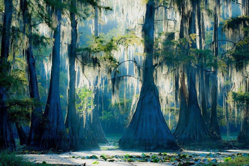 Caddo07 Caddo07