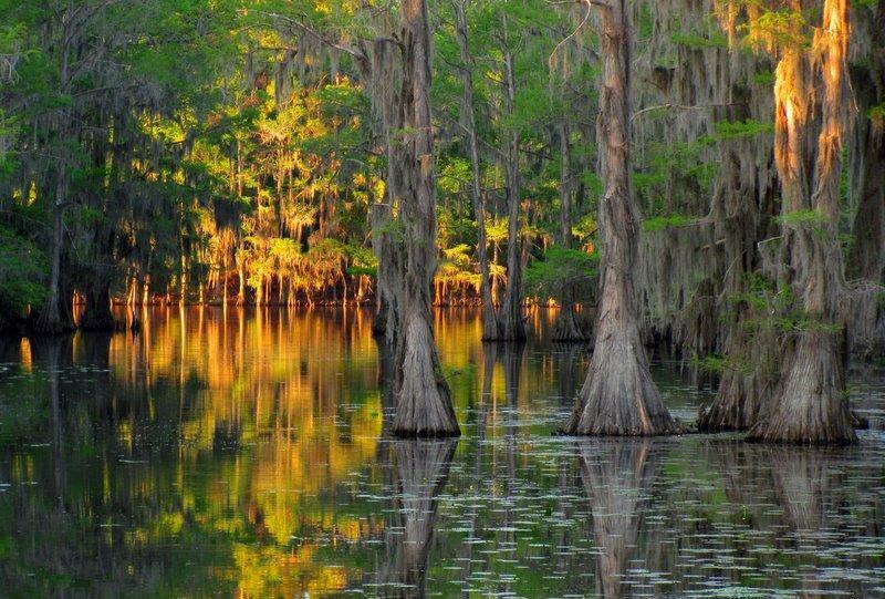 Caddo08 Caddo08
