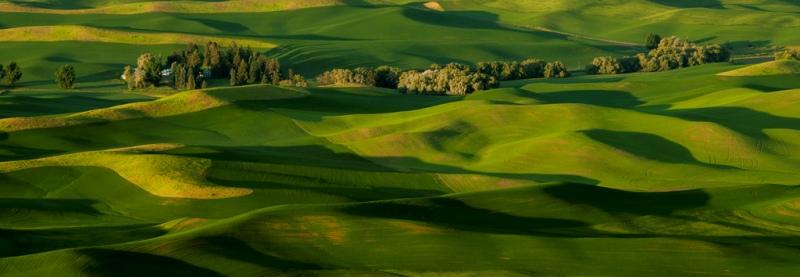 Холмы Palouse, США Palouse 11