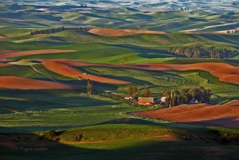 Холмы Palouse, США Palouse 2