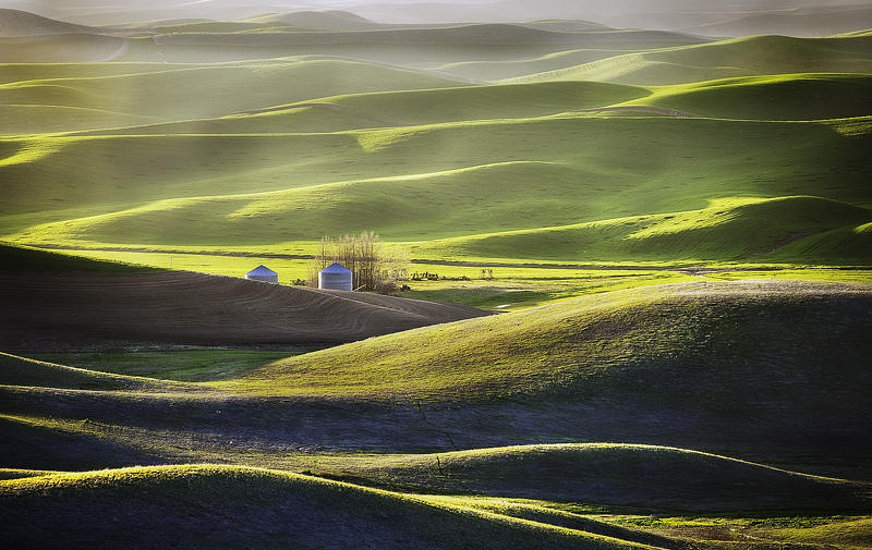 Холмы Palouse, США Palouse 3