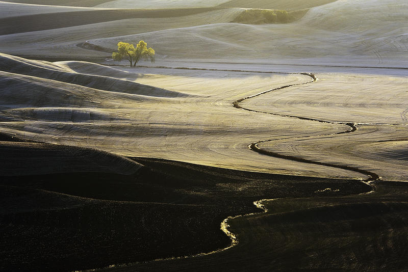 Холмы Palouse, США Palouse 4