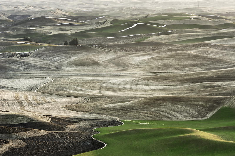 Холмы Palouse, США Palouse 5