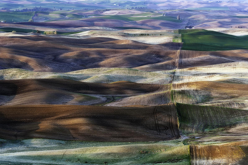 Холмы Palouse, США Palouse 7