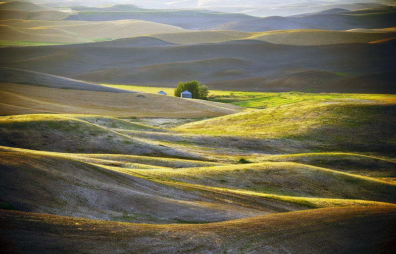 Холмы Palouse, США Palouse 8