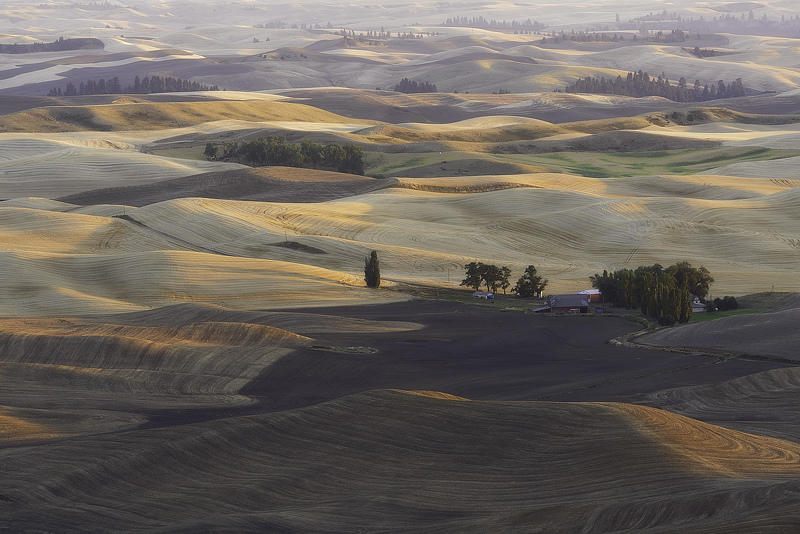 Холмы Palouse, США Palouse 9