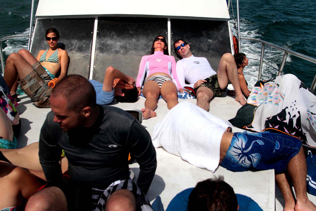 Cноркелинг во Флориде A summer pleasure 16